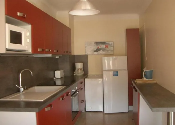 F2 Avec Terrasse, Parking Et Wifi, Animaux Acceptes, Proche Amelie-les-bains. - Fr-1-703-13 Apartmán *