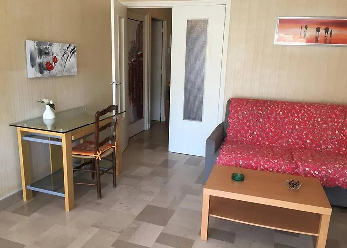 Apartmán F2 Avec Terrasse, Parking Et Wifi, Animaux Acceptes, Proche Amelie-les-bains. - Fr-1-703-13